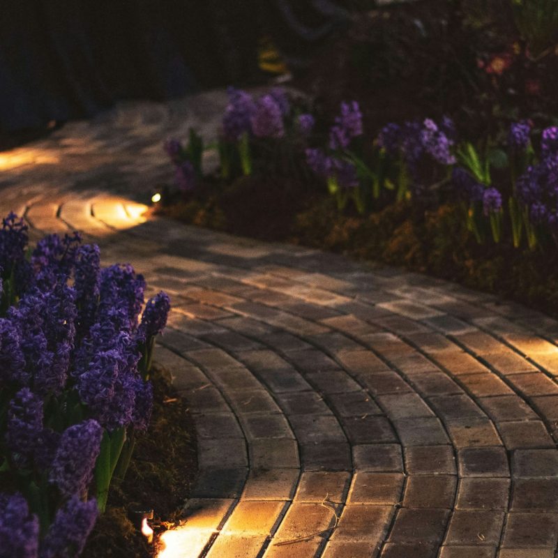 landscape lights