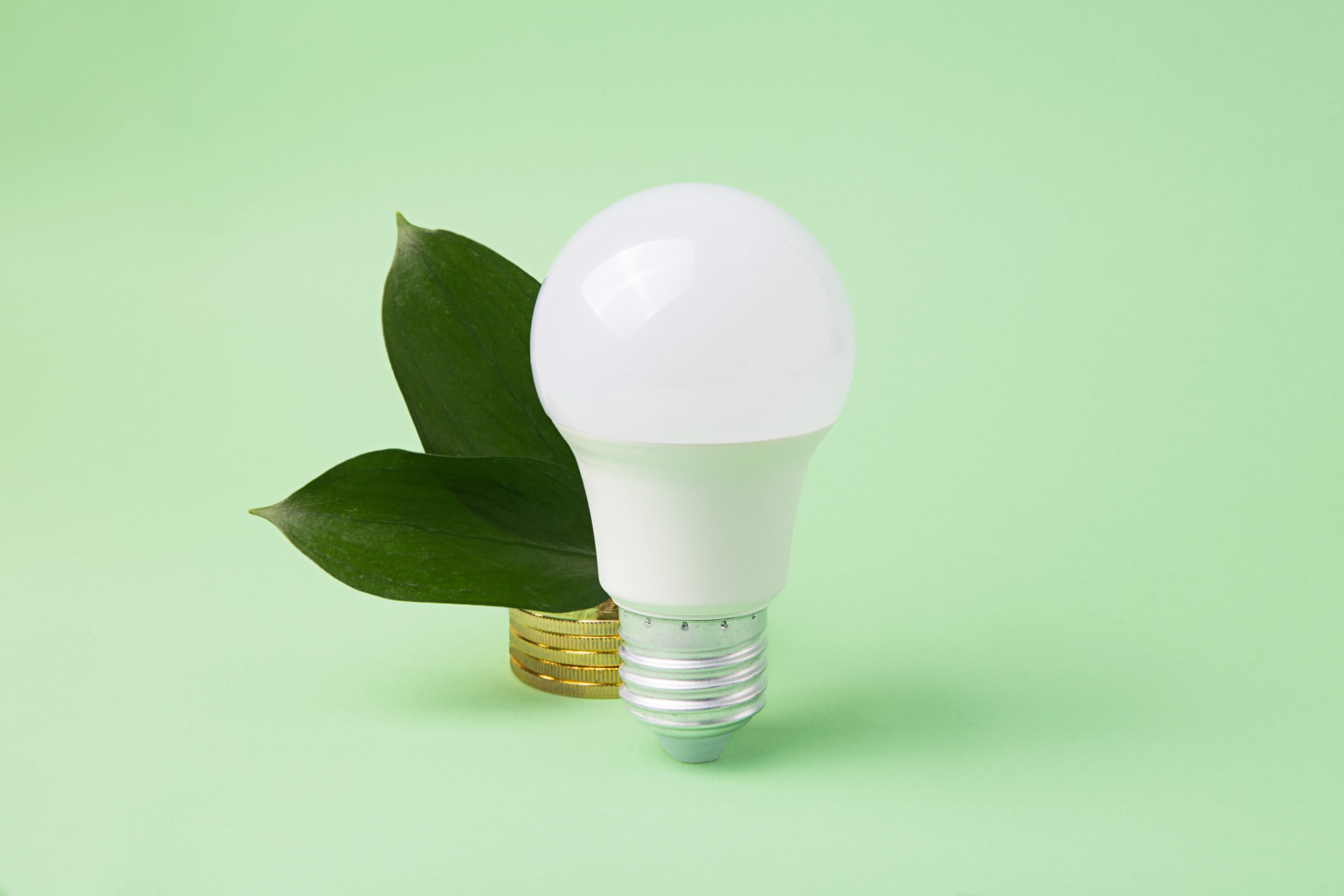 A Comprehensive Guide to Energy-Efficient Lighting Solutions for Your Home or Business
